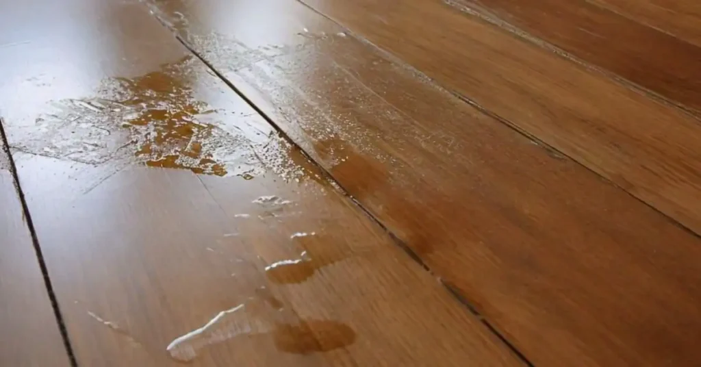  Best Tips to Repair Wooden Floor Scratches